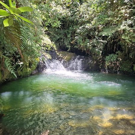 La Serena Reserva Natural Concepcion Екстер'єр фото