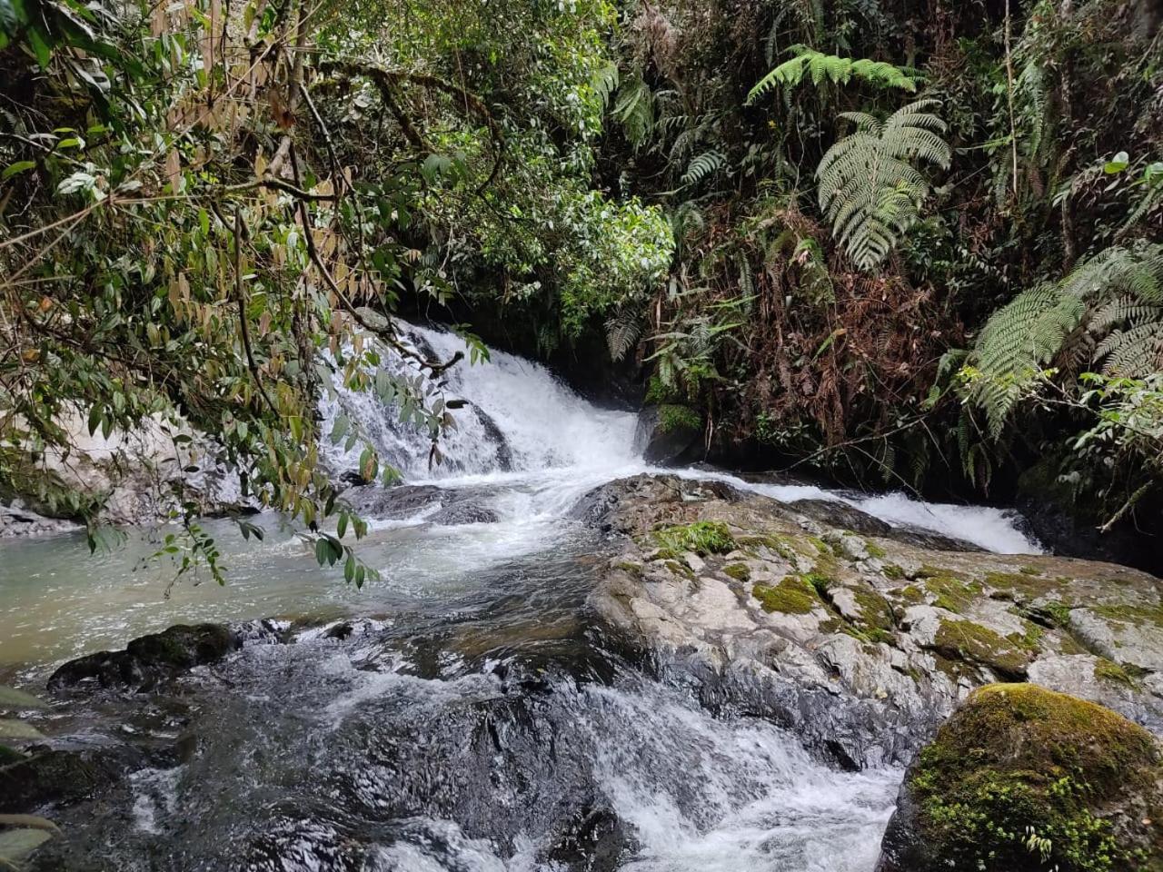 La Serena Reserva Natural Concepcion Екстер'єр фото