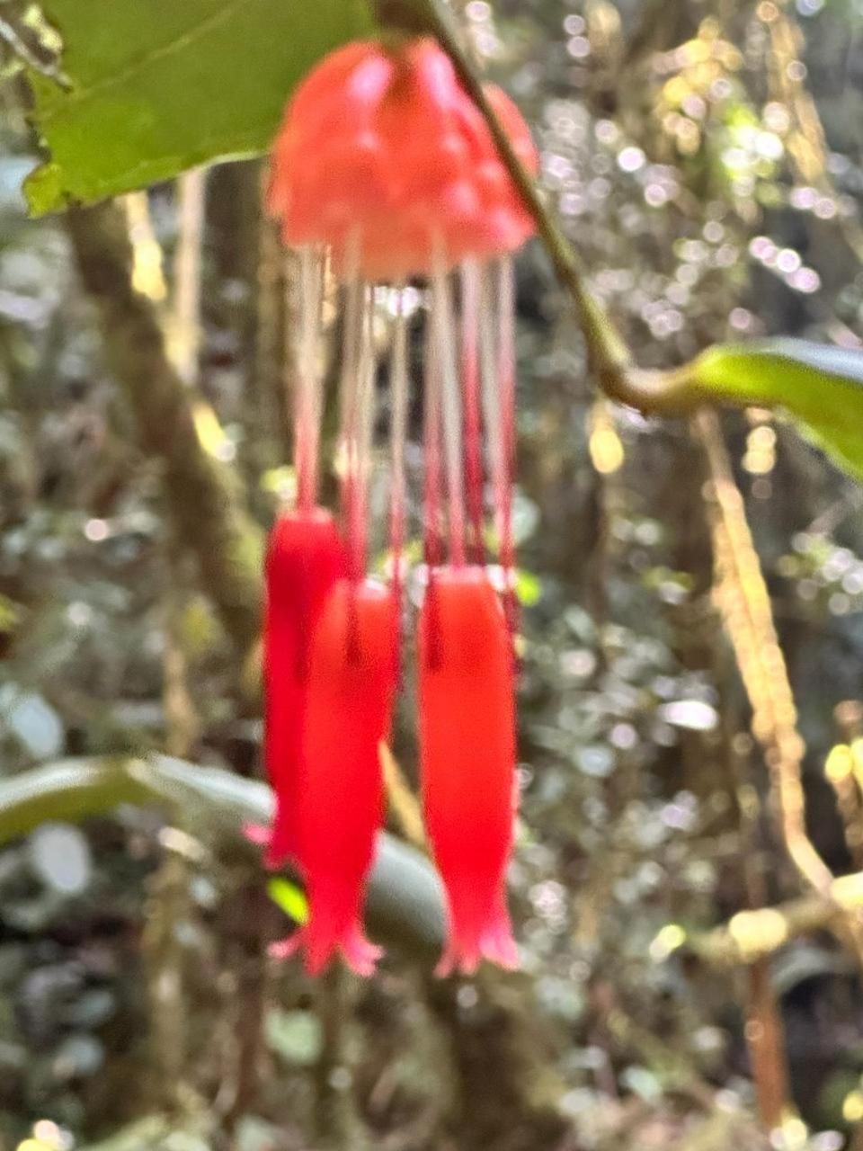 La Serena Reserva Natural Concepcion Екстер'єр фото