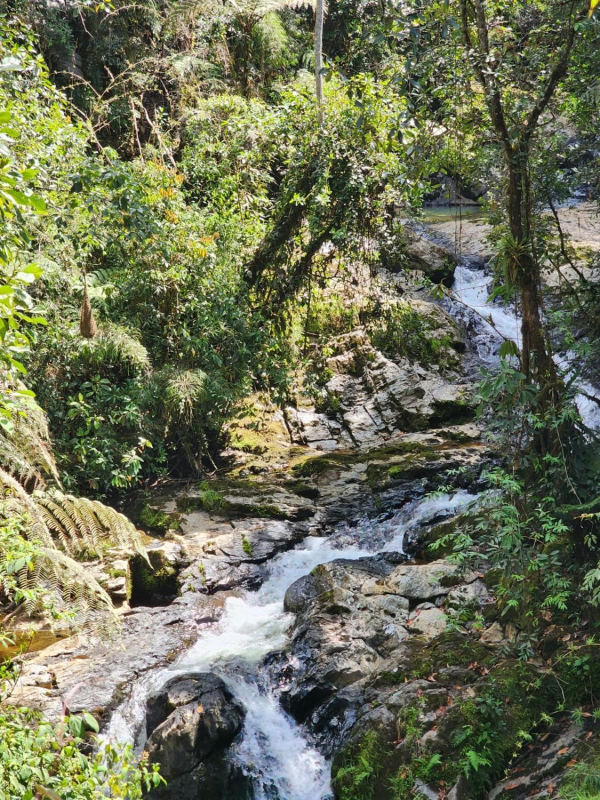 La Serena Reserva Natural Concepcion Екстер'єр фото
