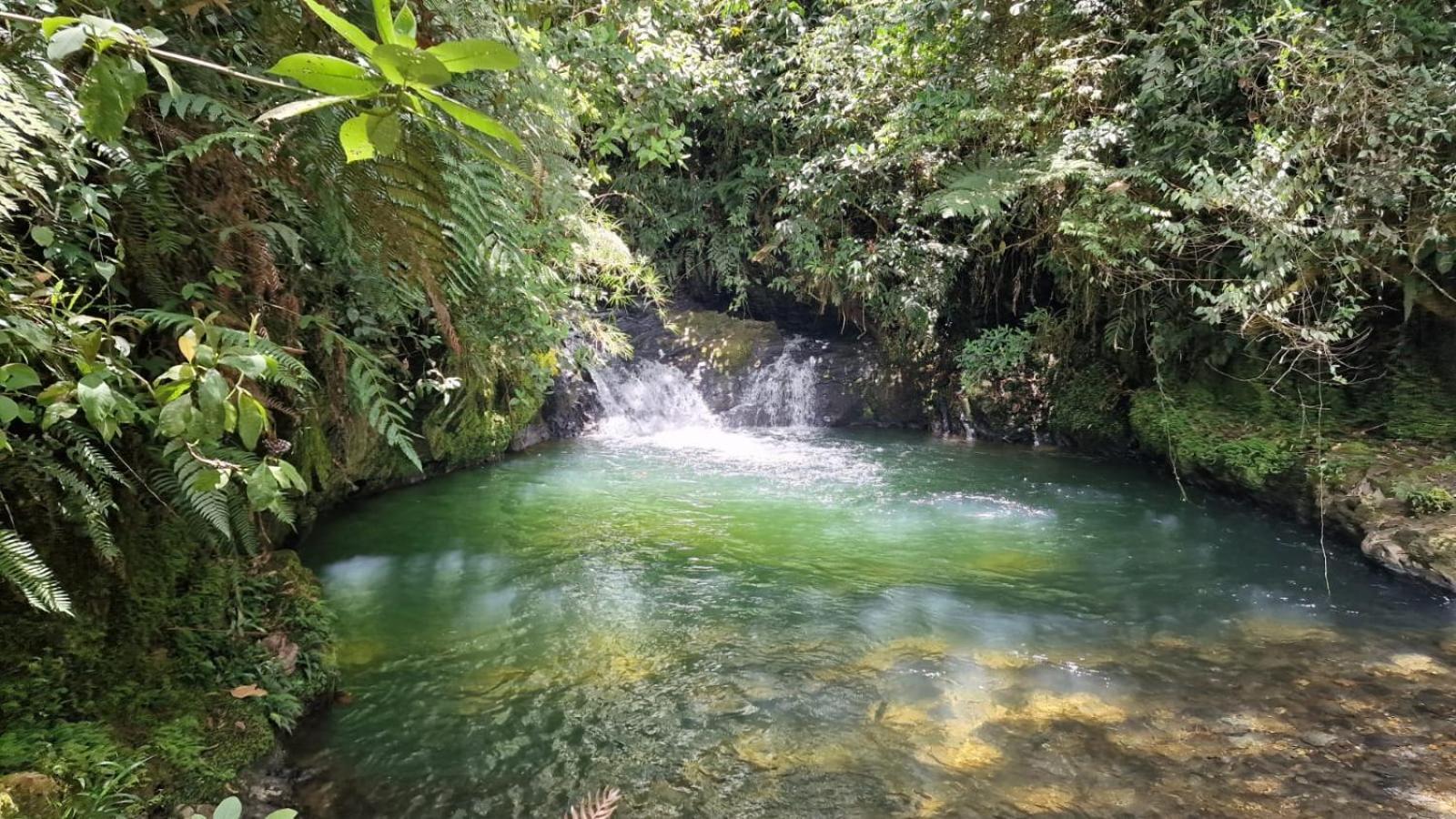 La Serena Reserva Natural Concepcion Екстер'єр фото