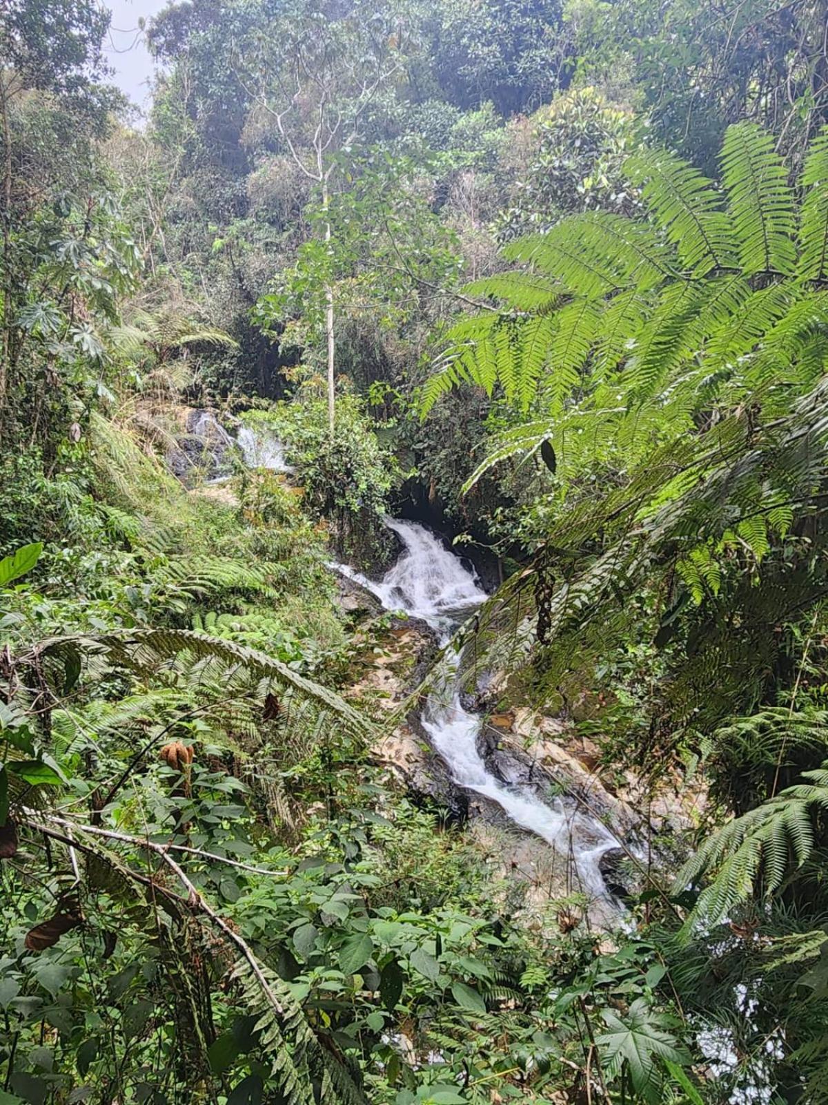 La Serena Reserva Natural Concepcion Екстер'єр фото